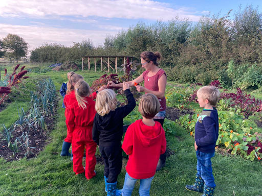 Cultuureducatie Zeeuws-Vlaanderen, talentontwikkeling
