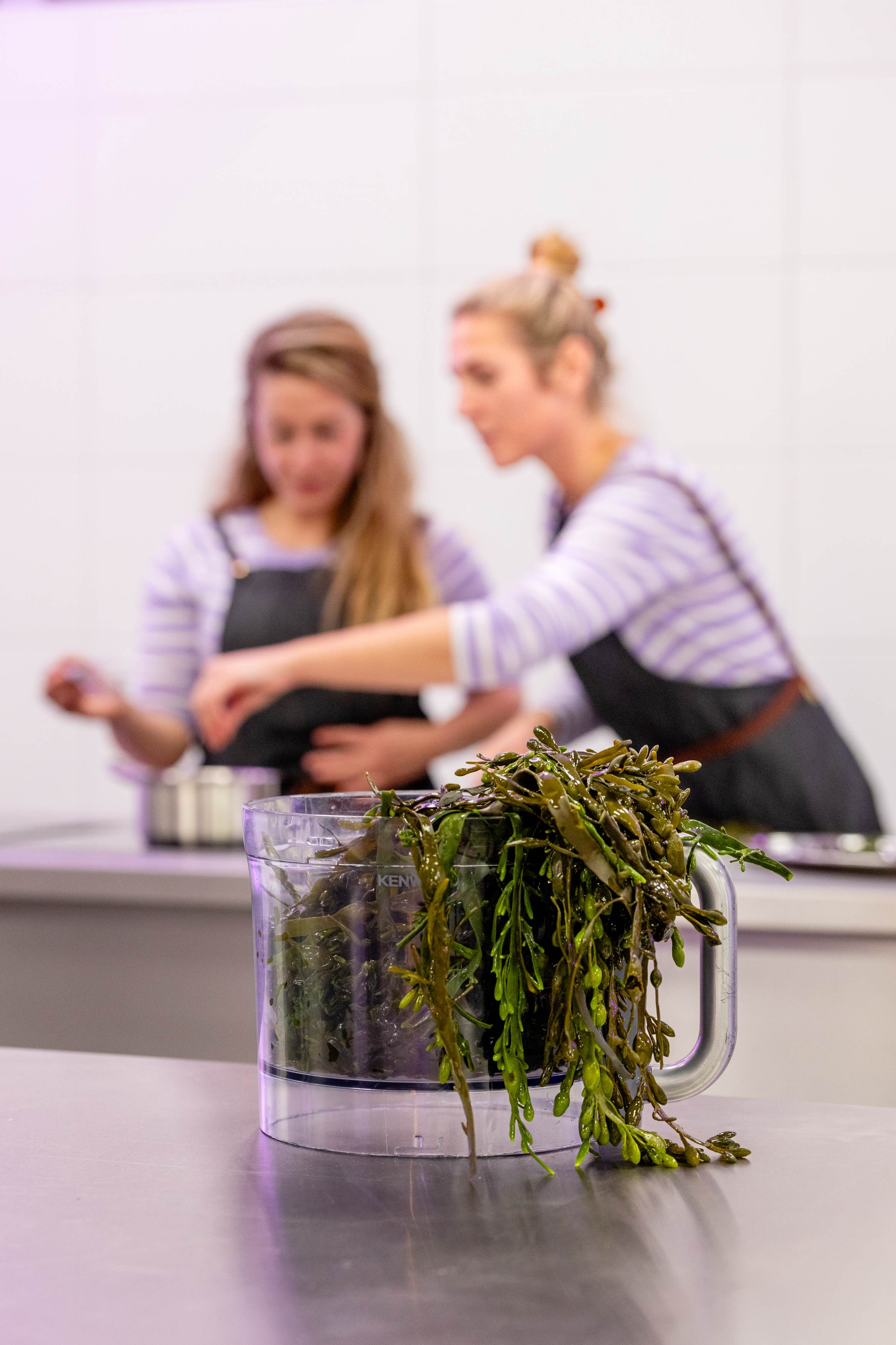 Seaweed sisters in de proefkeuken bij Innovatiepunt KAAP