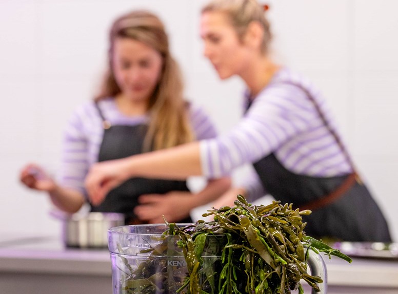 Seaweed sisters in de proefkeuken bij Innovatiepunt KAAP