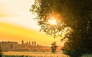 Polderlandschap in Zeeuws-Vlaanderen