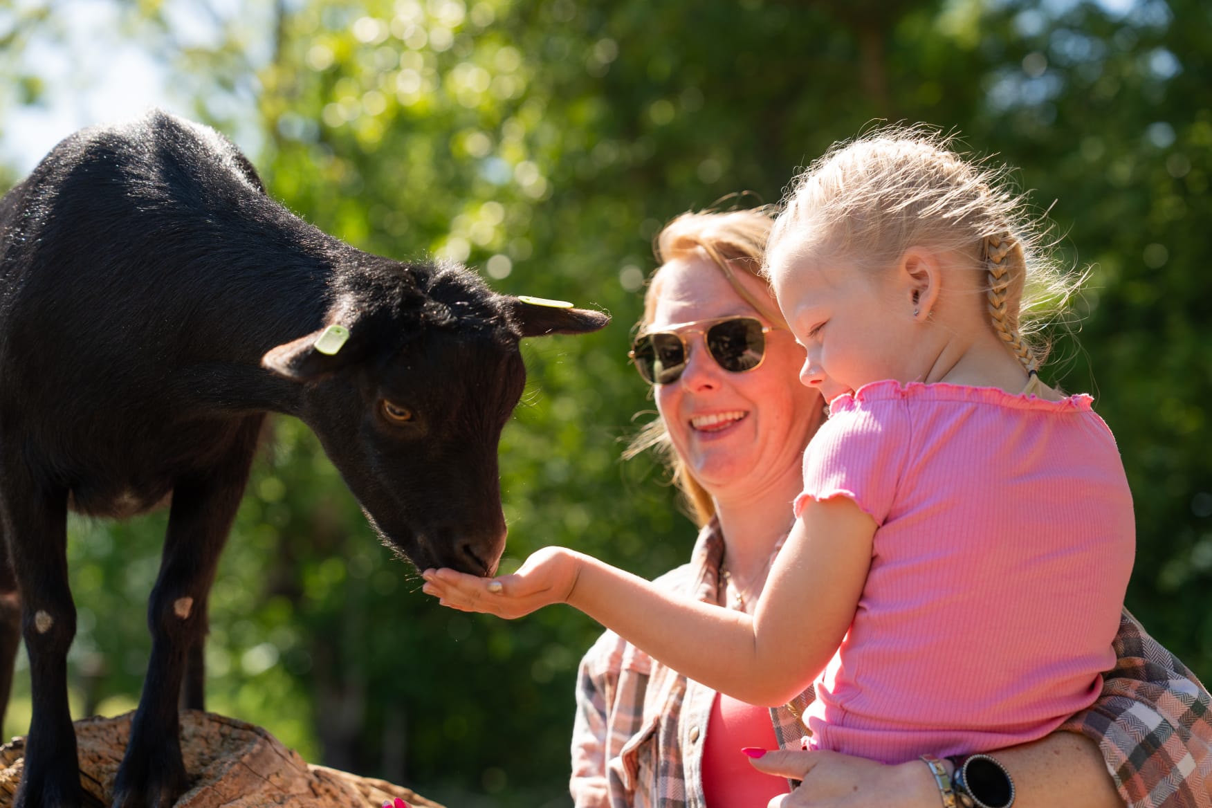 Frau und Kind am Campingplatz De Paardenwei in Oostburg