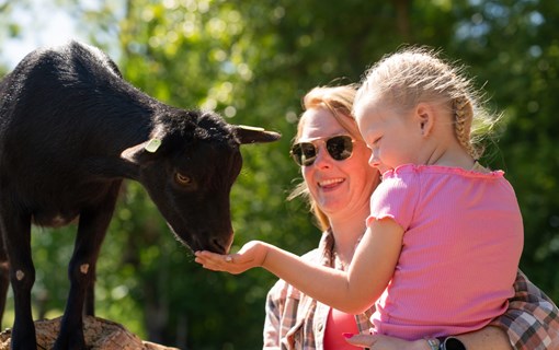 Frau und Kind am Campingplatz De Paardenwei in Oostburg