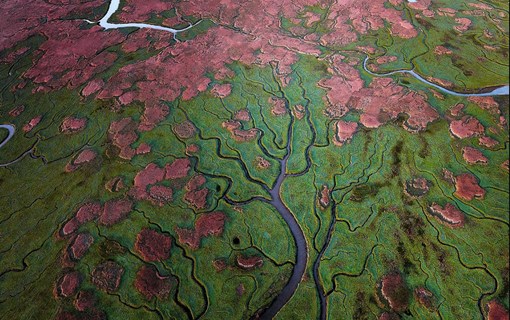 Verdronken Land van Saeftinghe van bovenaf