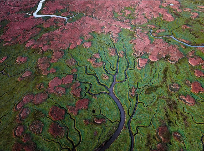 The Verdronken Land of Saeftinghe from above