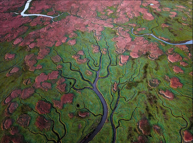 Verdronken Land van Saeftinghe van bovenaf