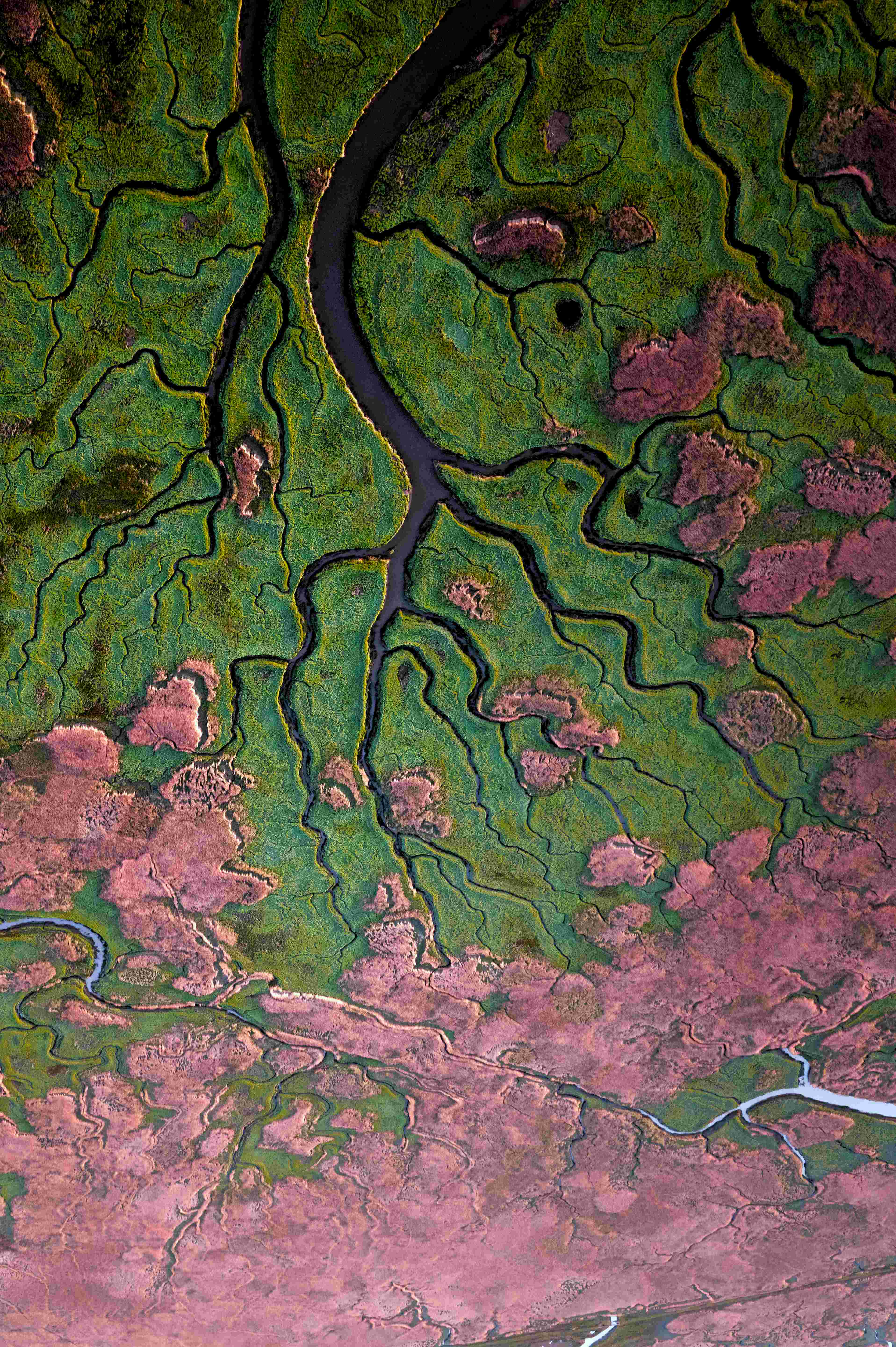 Das Verdronkene Land von Saeftinghe von oben