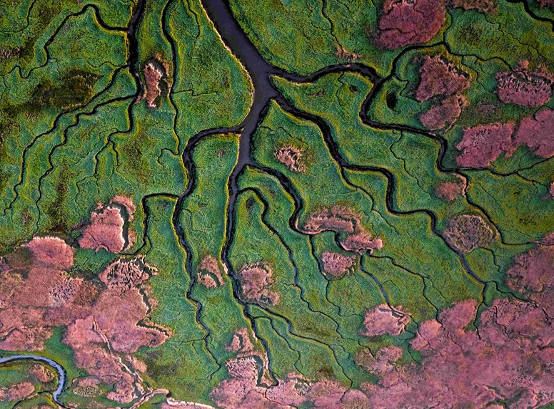 Das Verdronkene Land von Saeftinghe von oben