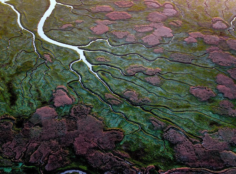 Het Verdronken Land van Saeftinghe vanuit de lucht