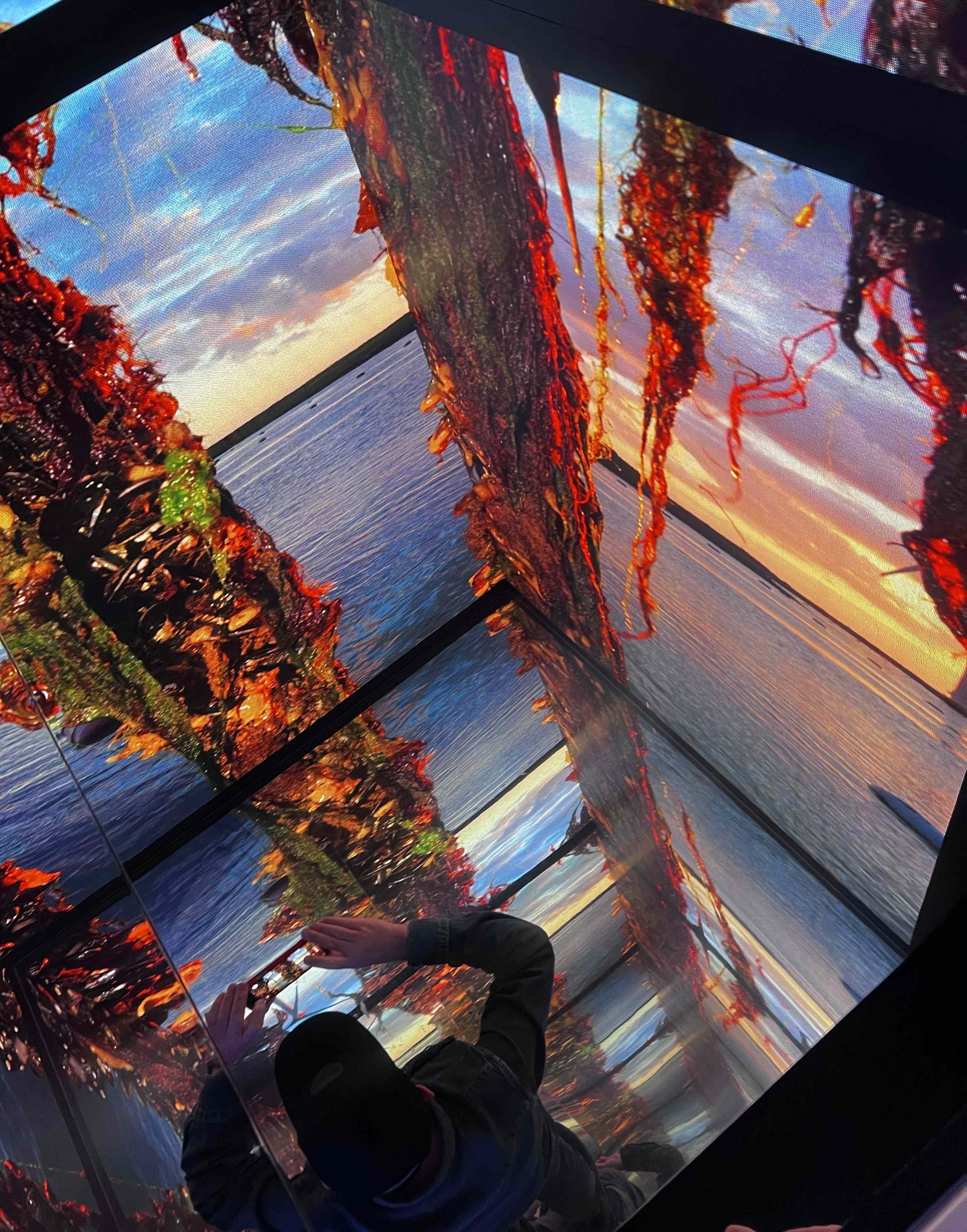 Immersive experience