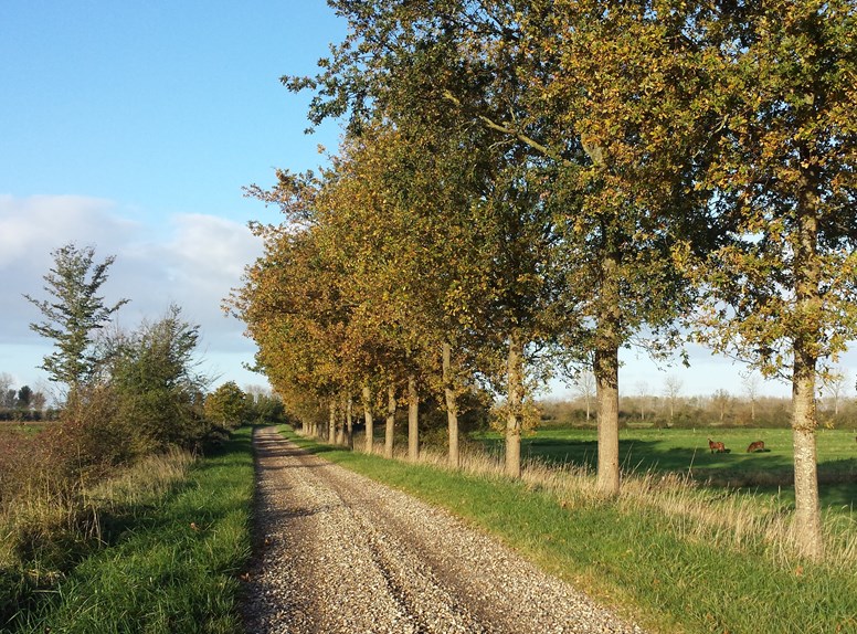 Koedijkeikenfietsen ZwaakseWeel  Natuurmonumenten
