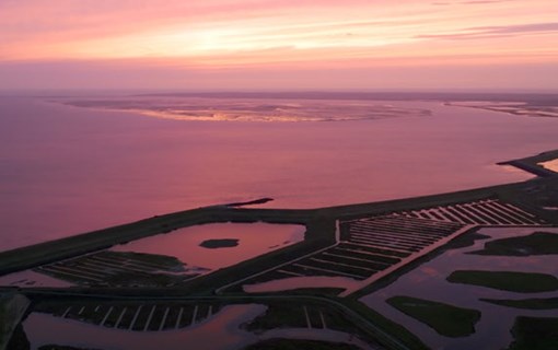 Natuurgebied Plan Tureluur bij Zierikzee