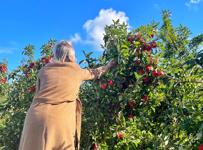 Zeeland smaakt kaalgeplukt. Mooi.