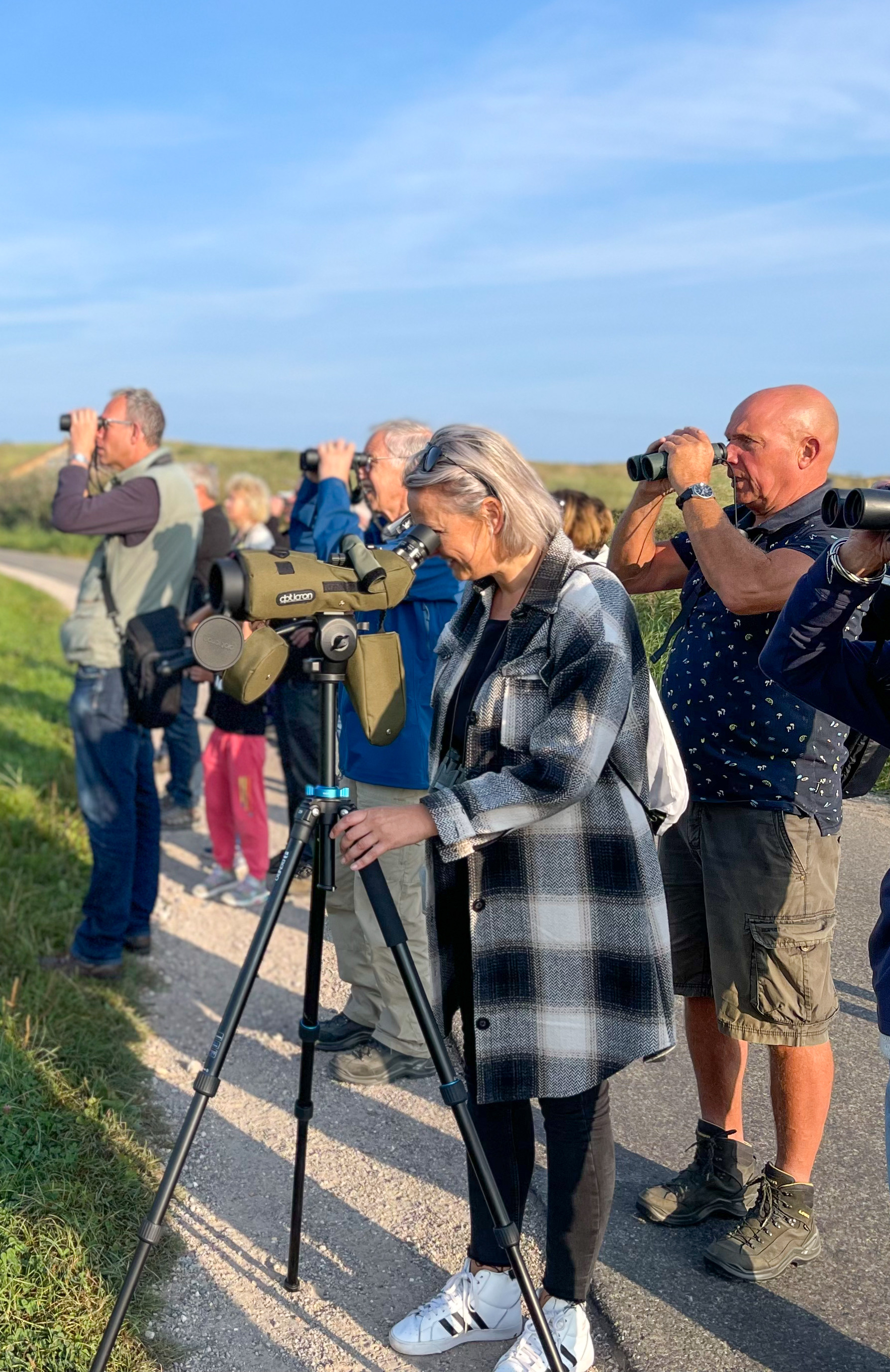 Vogelbeobachtung im Naturschutzgebiet Noordervroon