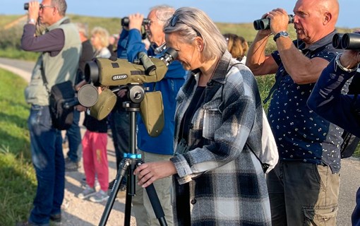 Telescoop vogelspotten