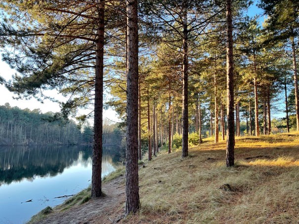 boswachterij westenschouwen winter