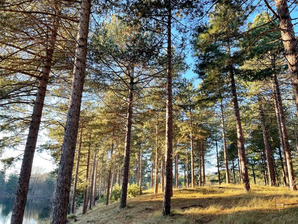 Luchtfoto Zeeuwse natuur en Zeeuws landschap bij Sint-Philopsland