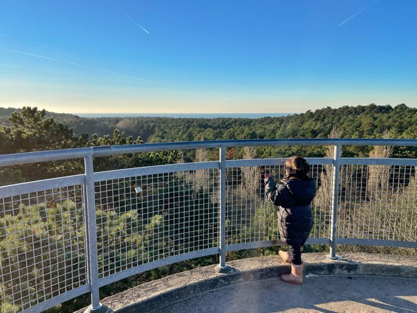 boswachterij westenschouwen uitkijktoren
