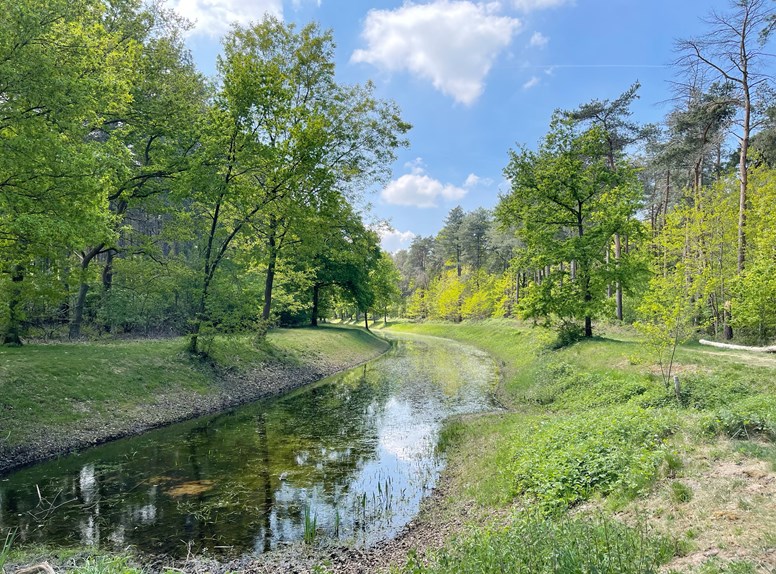 Die Clingse Bossen