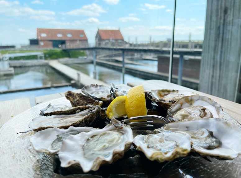 oyster beds