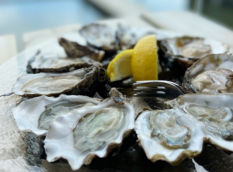 oesters citroen eten