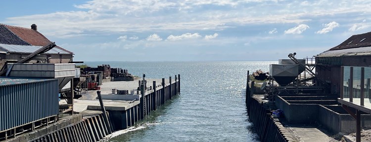 yerseke oosterschelde