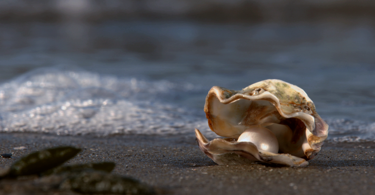 Oester met parel, Zeeland heeft prachtige parelroutes.