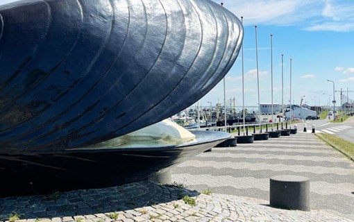 mossel bruinisse