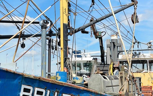 bruinisse vissersboot