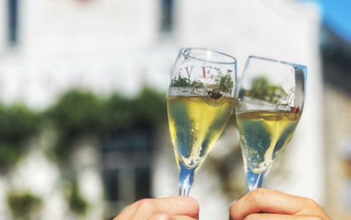 proosten wijnhoeve kleine schorre schouwen duiveland