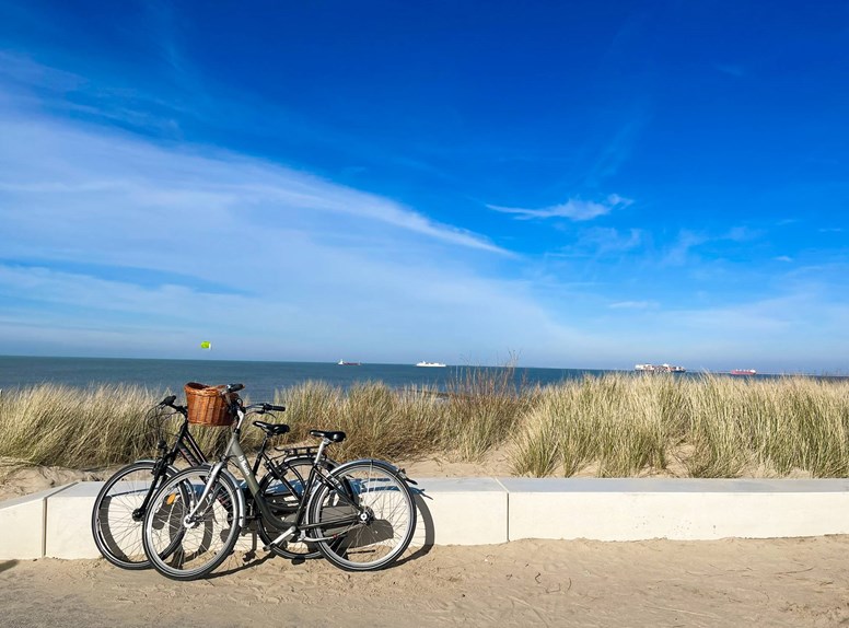 Wandelen op het strand in Cadzand