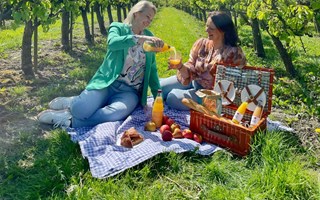 Picknicken tussen de boomgaarden van Zuid-Beveland