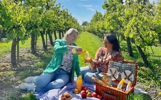 Picknicken tussen de boomgaarden van Zuid-Beveland