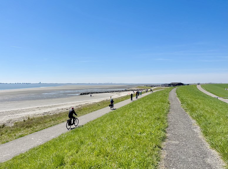 Strand Baarland Strandpaviljoen De Landing