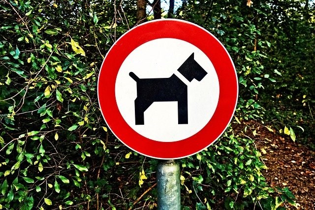 bord verboden voor honden