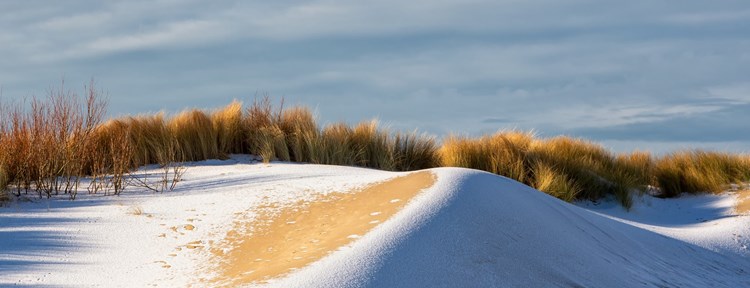 duinen sneeuw