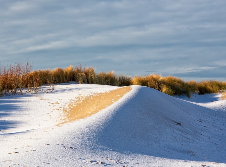 duinen sneeuw