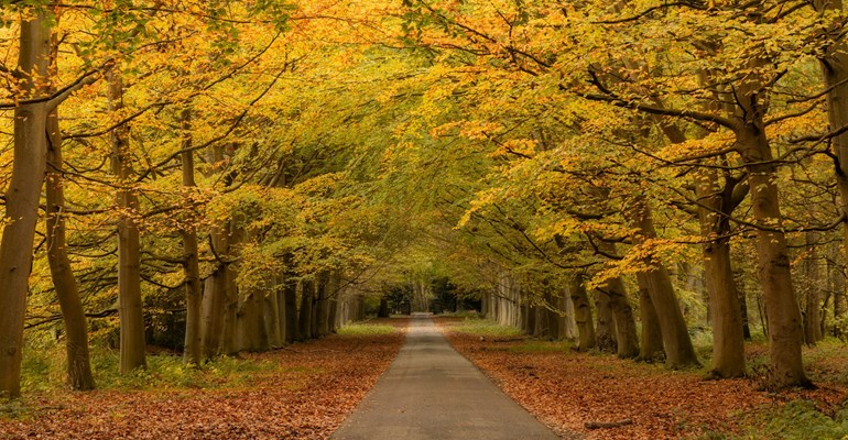 Wandelen tijdens de herfst in Zeeland