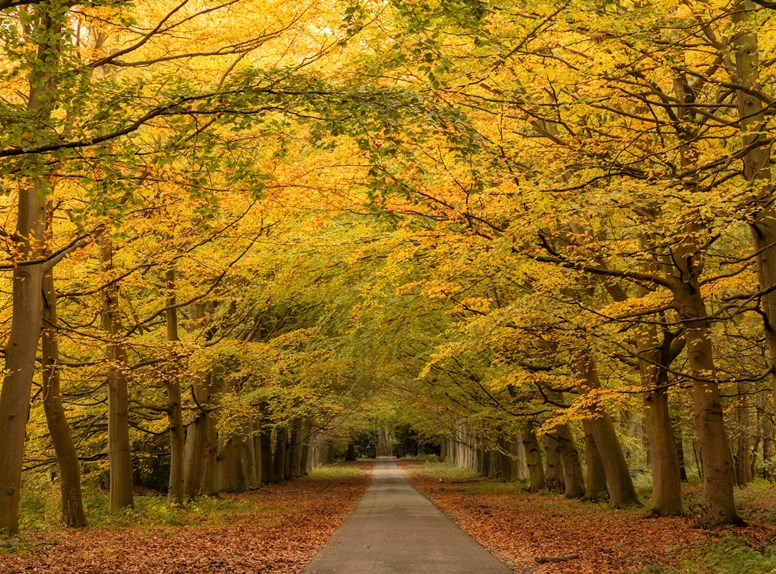 Wandelen tijdens de herfst in Zeeland