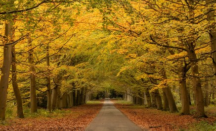 On Speed Dating In Loves Park On Speed Dating In Loves Park