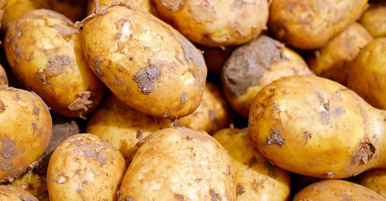 De smaak van Tholen; van vroege aardappelen tot Oosterscheldekreeft