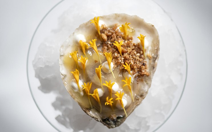 Sterrenrestaurant Meliefste in Wolphaartsdijk kun je genieten van de smaak van de Zeeuwse natuur