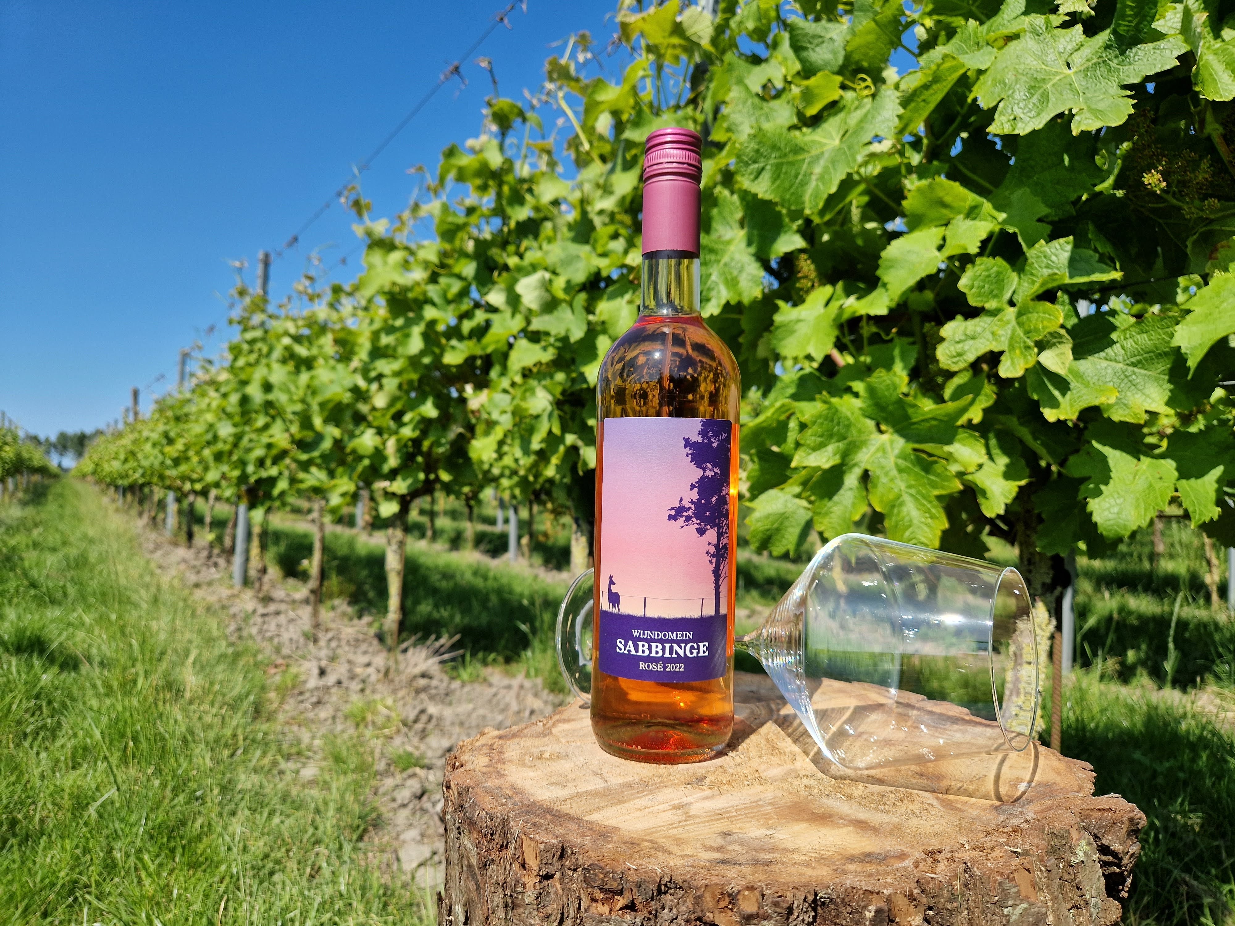 Wijndomein Sabbinge