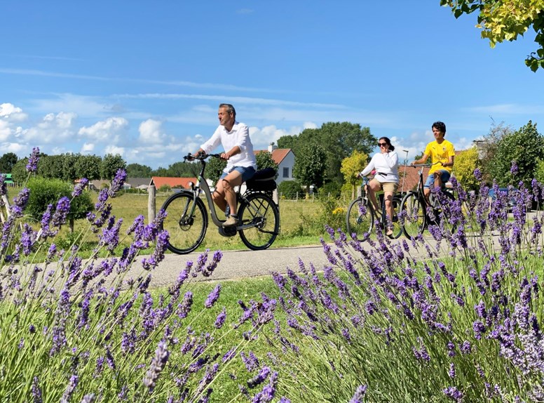 Heerlijk fietsen in Zeeland, de 5 sterren fietsprovincie. Bekijk hier de top 9 fietsroutes in Zeeland. Hier vind je de mooiste fietsroutes in Zeeland.