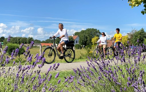Fietsen door Zeeland