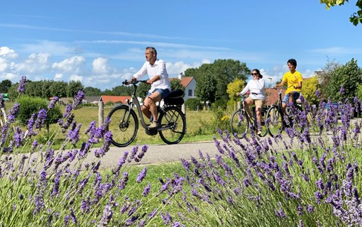 Fietsen door Zeeland