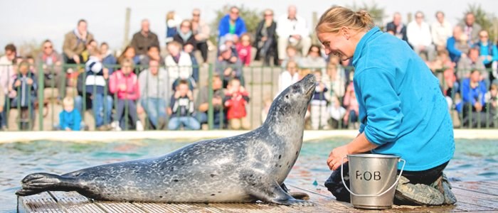 Verrassend er op uit in Zeeland