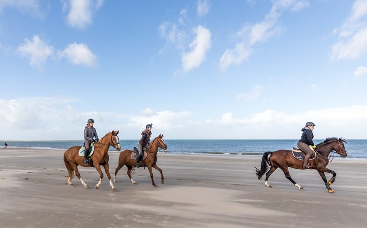 Paardrijden in Zeeland