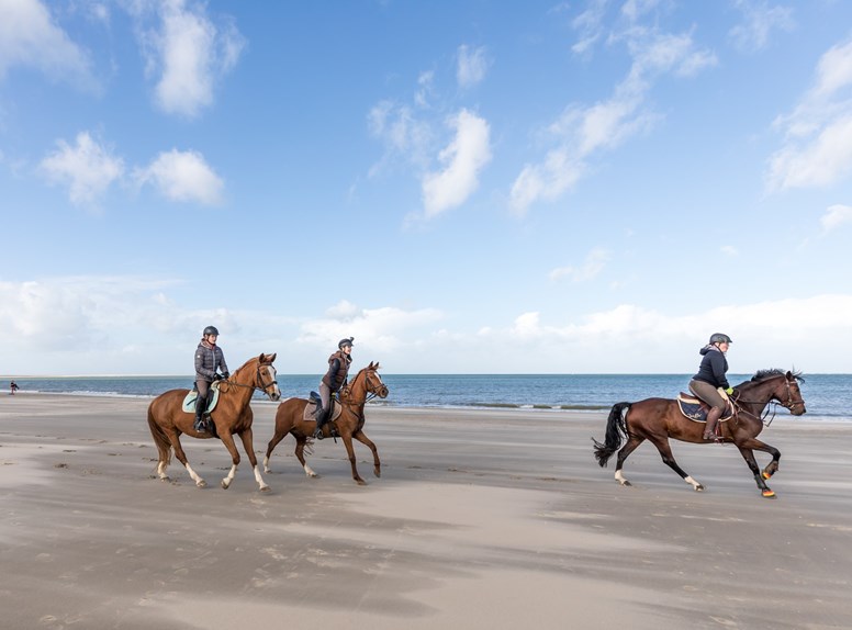 Paardrijden in Zeeland