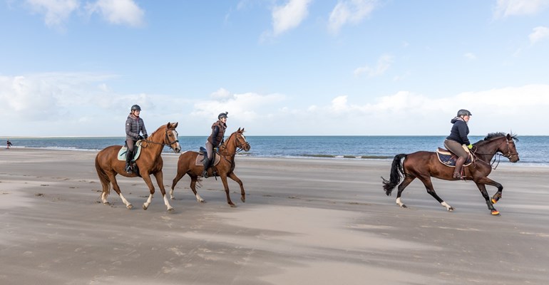 Paardrijden in Zeeland, Paardrijden op Noord-Beveland, Paardrijden op Schouwen-Duiveland