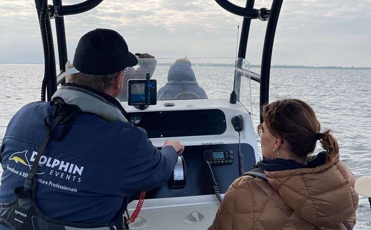 Bruinvissen kun je spotten vlak bij Zierikzee in de Oosterschelde